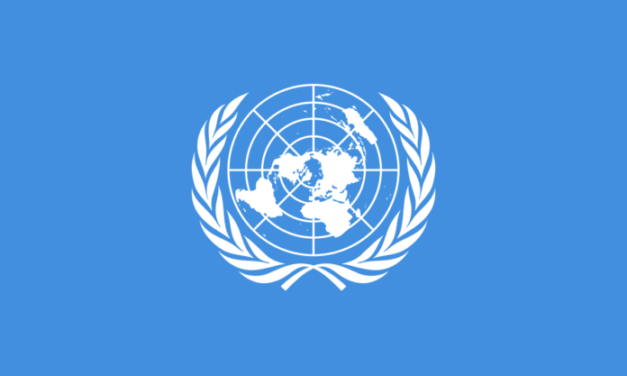 How To Apply for a United Nations Junior Professional Officer position
