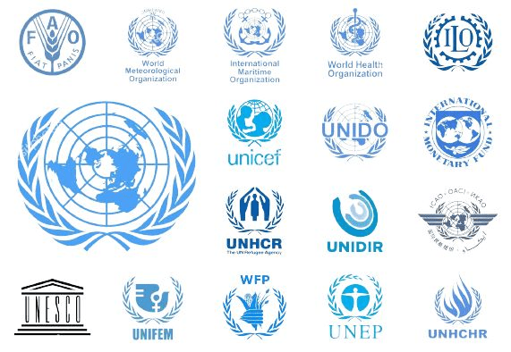 United Nations Organizations that Offer Paid Internships Opportunities