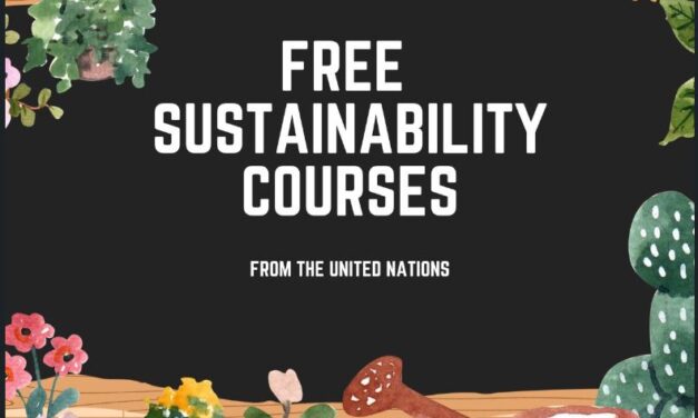 FREE Sustainability courses from the United Nations 2023-2024