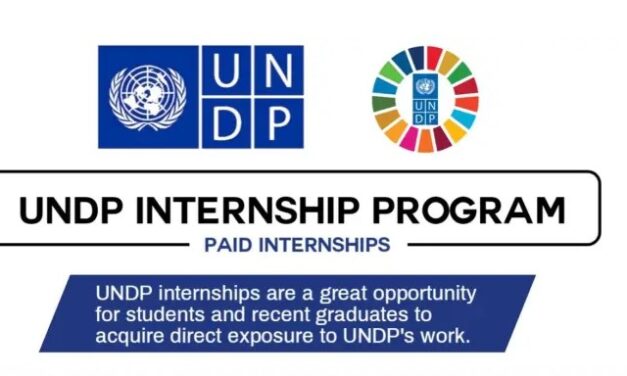 Paid United Nations-UNDP Internships – Open to All Nationalities, with Office and Home-Based Options