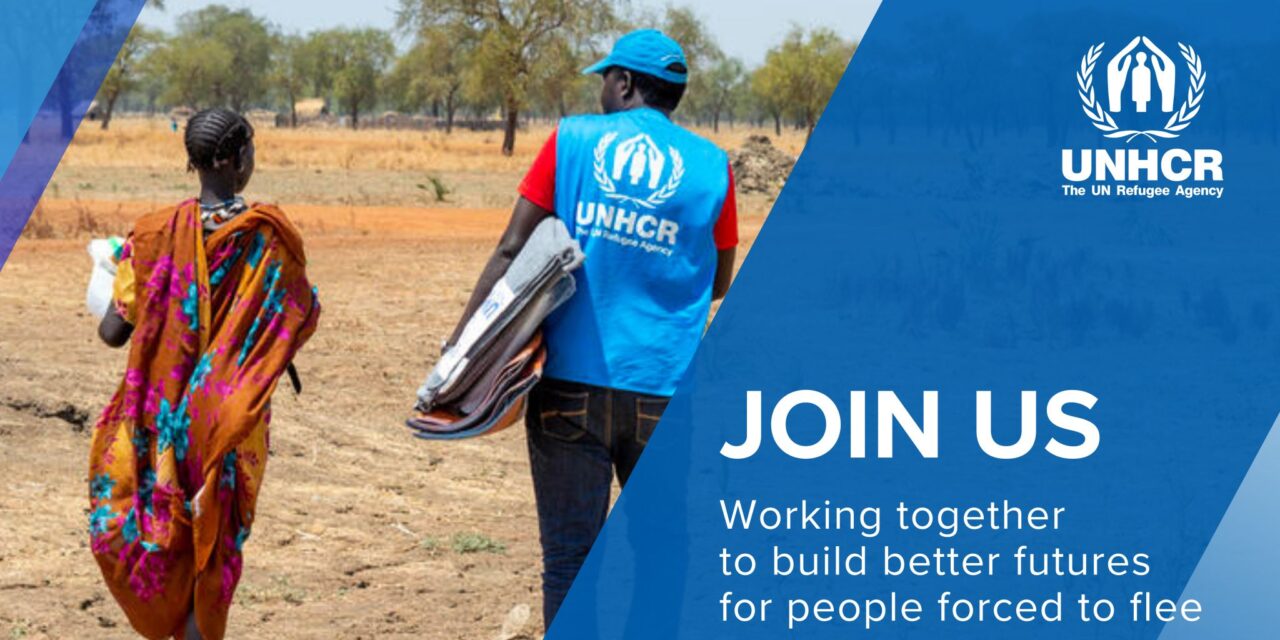 Several Job Opportunities at the UNHCR, the UN Refugee Agency:Apply Now