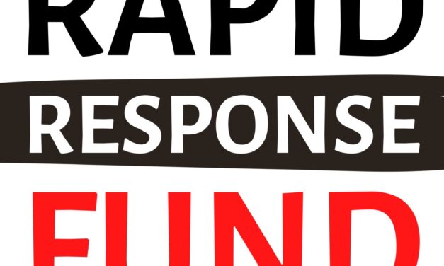 Apply for the Search for Common Ground Rapid Response Fund for women, peace, and security projects(Grants of up to $250,000)