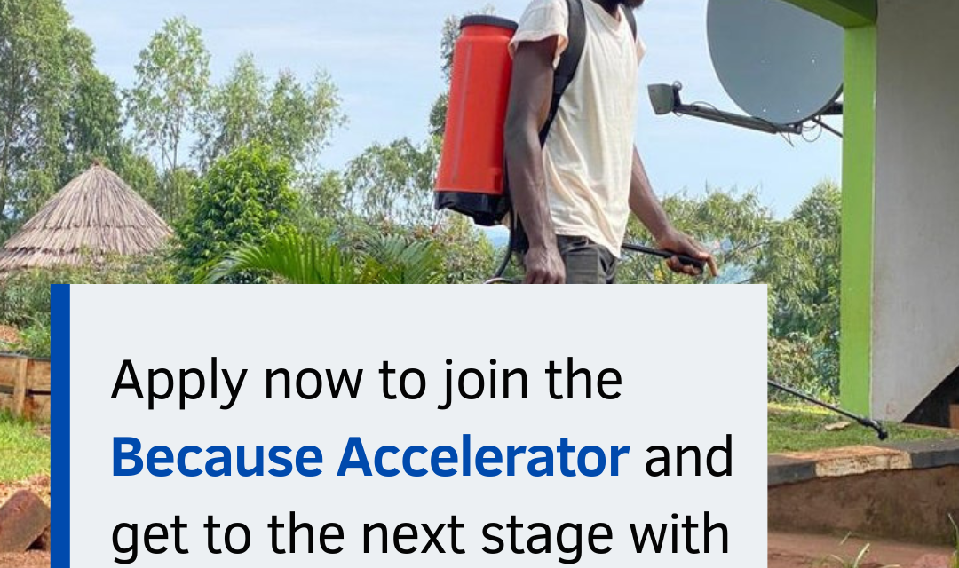 Join The Because Accelerator! (Fully Funded)