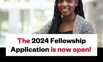 SEO Law Fellowship & Scholarship Program Application – 2024(Fully-funded)