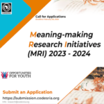 🌍 Exciting Opportunity: Meaning-Making Research Initiatives (MRI) 2023-2024 📚