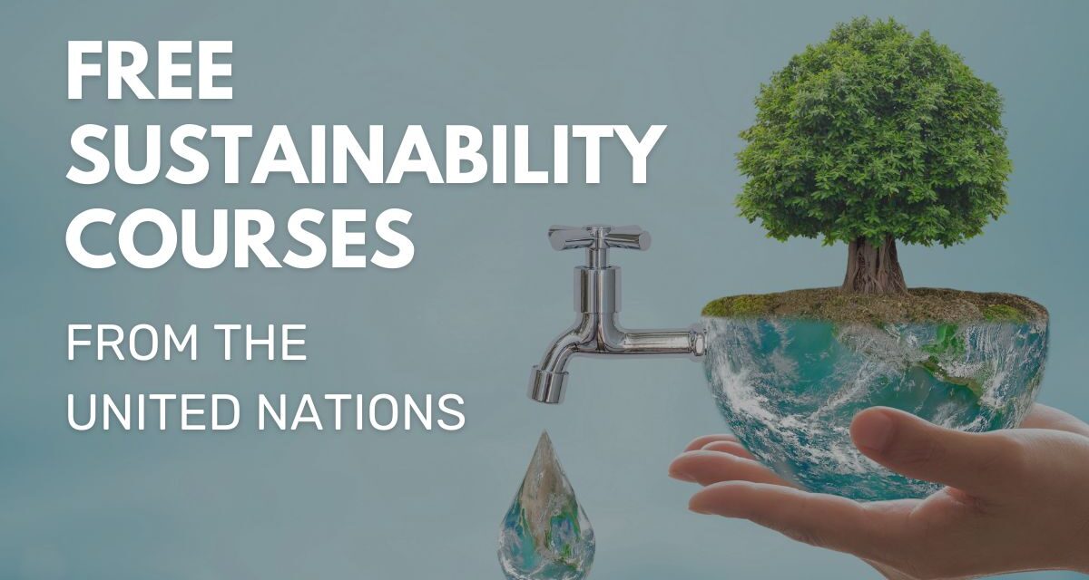 FREE Sustainability courses from the United Nations