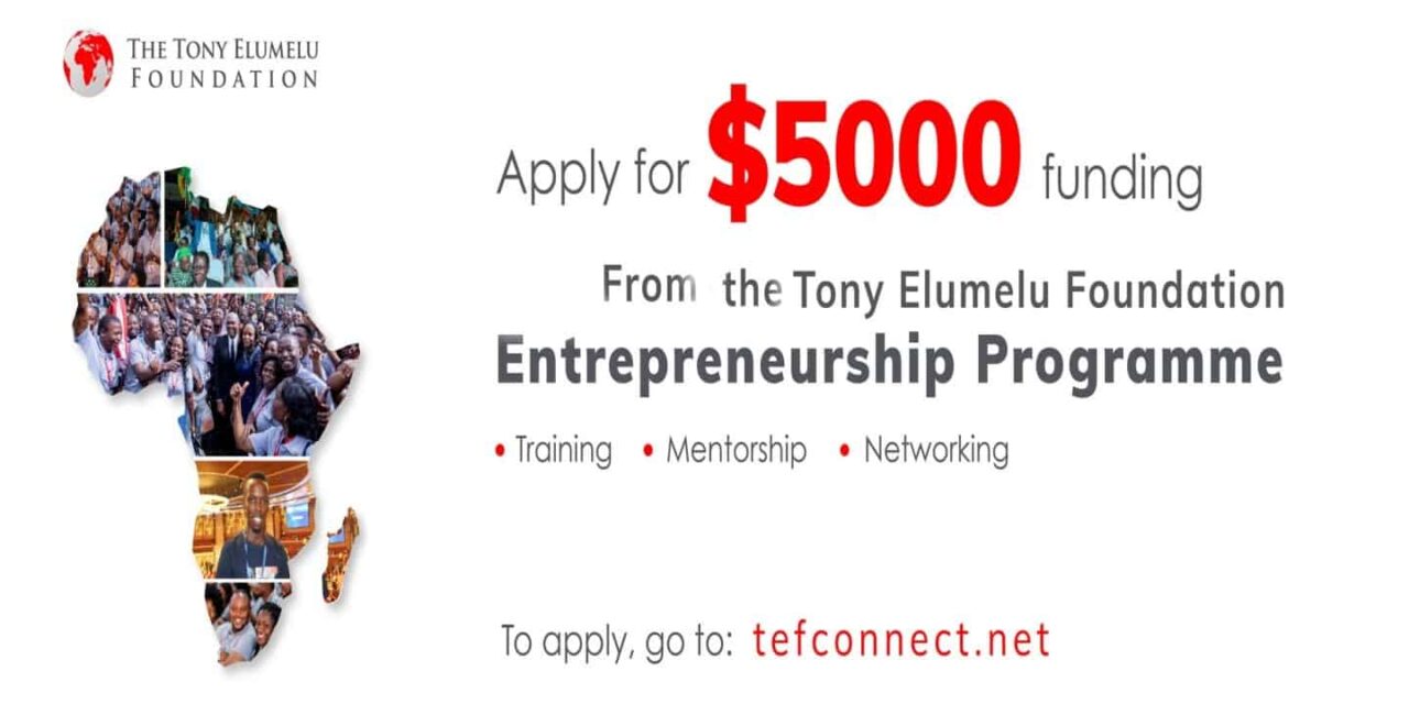 Apply for the Tony Elumelu Entrepreneurship Program for African Entrepreneurs ($5,000 seed capital, business training, access to networks, and mentorship)