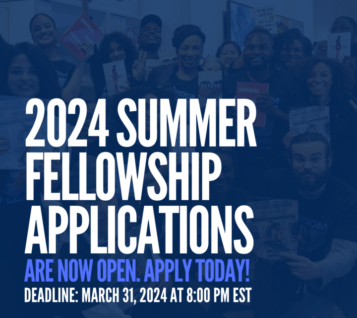 African American Policy Forum’s Fellowship Program(Fully-funded)