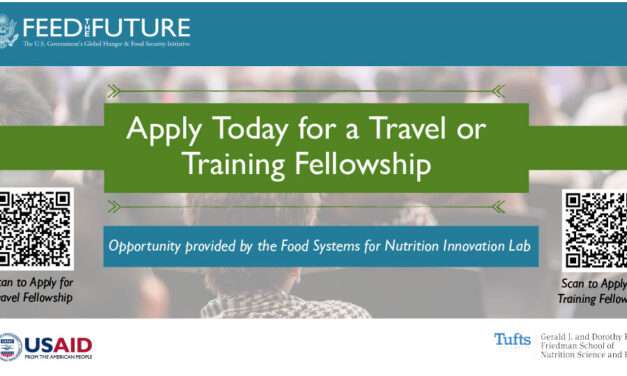 Feed the Future Food Systems for Nutrition Innovation Lab training fellowships for 2024