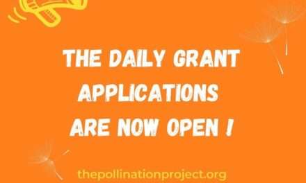 Apply Now for The Pollination Project’s $1,000 Daily Grant for Changemakers