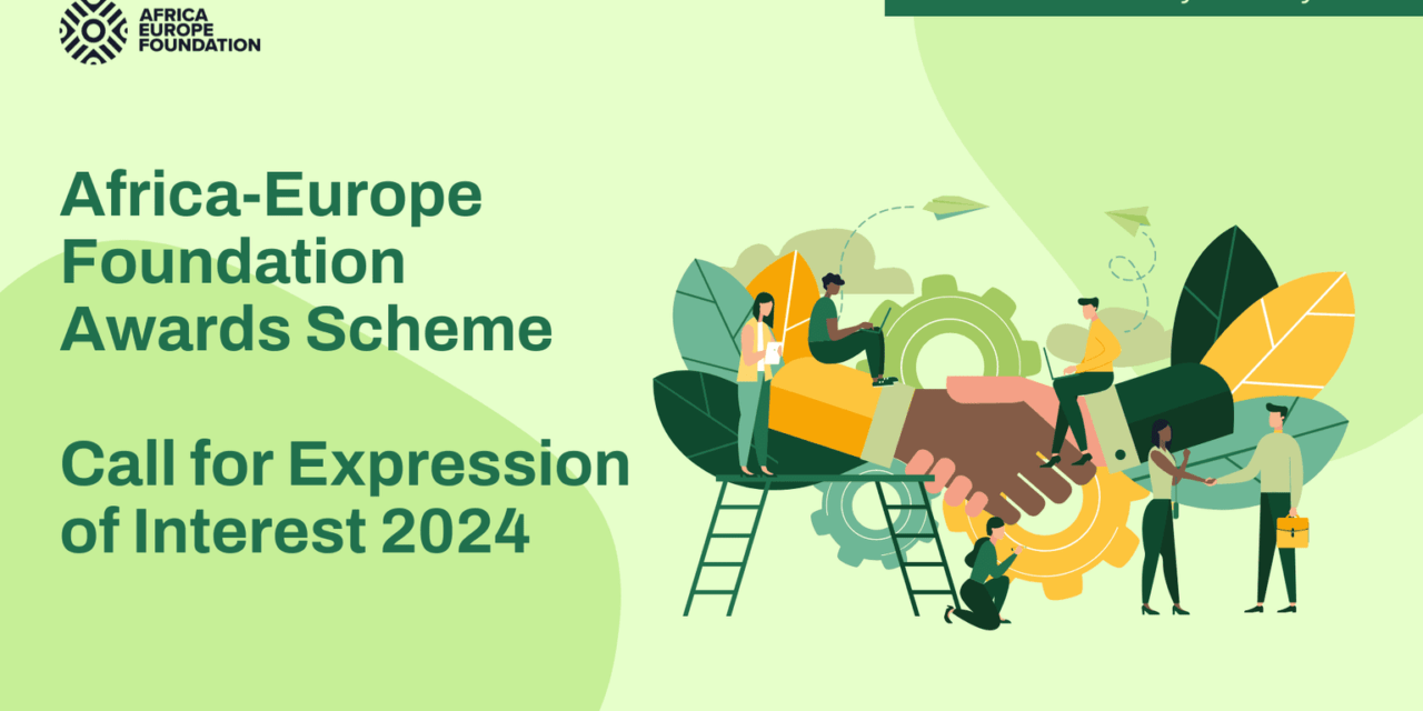Call for Expression of Interest 2024: Africa-Europe Foundation Awards Scheme(Open to youth, cities/local authorities and CSO partner)