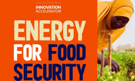 Call for Applications: Energy for Food Security Programme in Niger (up to US$250,000 funding)