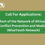 Call for Applications: 1st Cohort of the Network of African Youth in Conflict Prevention and Mediation (WiseYouth Network)
