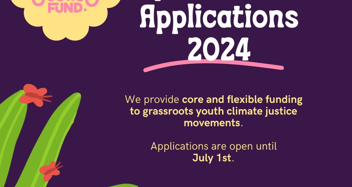 Youth Climate Justice Fund: 2024 Open Call for Applications(grant of up to USD 20,000 available for youth groups)