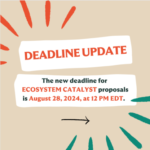 The Being Initiative Request for Proposals (RFP) to fund ideas for youth mental health and wellbeing in 12 countries [Deadline Updated]