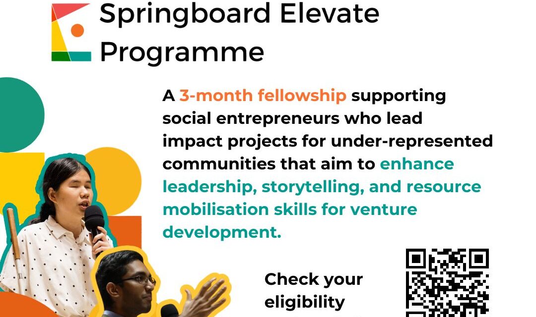 Join the 2024 Springboard Elevate Programme!