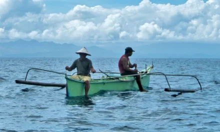 Call for Expressions of Interest: CLimate Adaptation and REsilience (CLARE) in ASEAN Countries