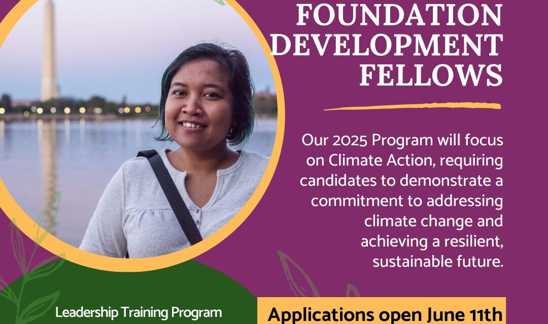 Asia Foundation Development Fellows Program 2025
