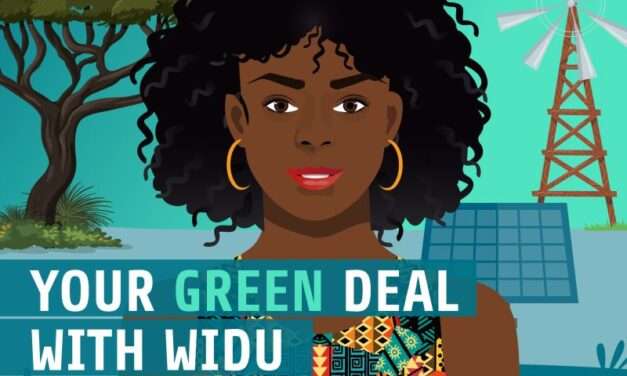WIDU Ghana Green Call: Apply Now to Upgrade Your Sustainable Business