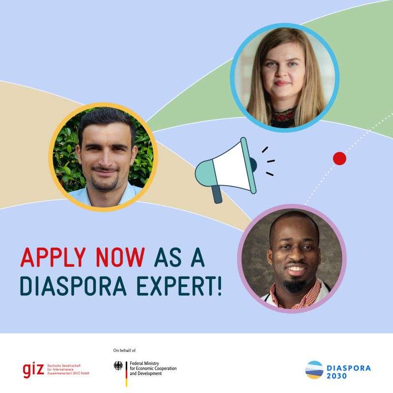 Professionals in Germany: Explore Sponsored Assignments in Your Country of Origin with Diaspora2030