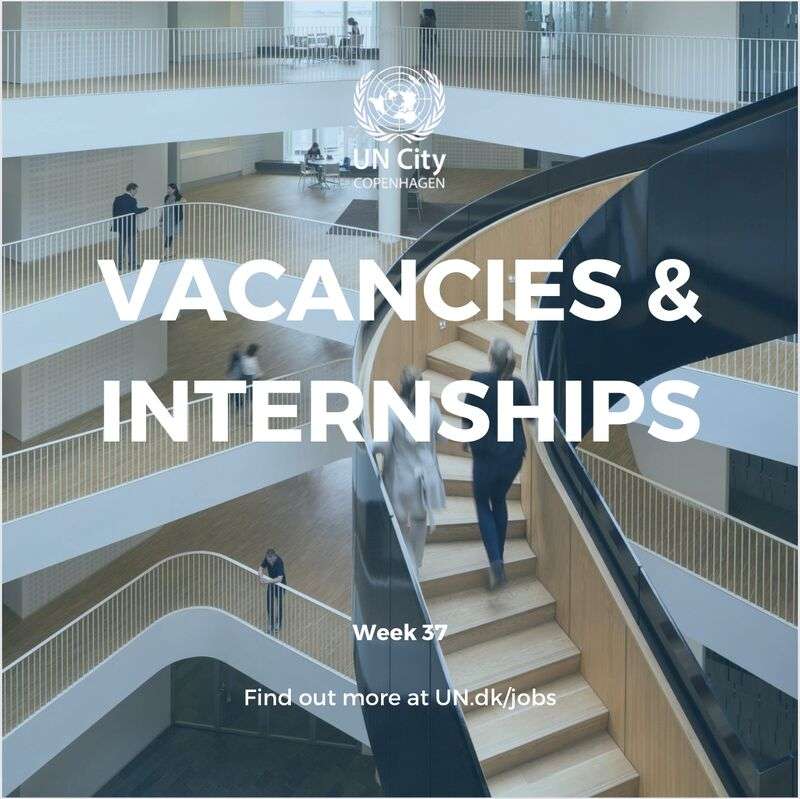 UN City Career Opportunities: Apply for Jobs and Internships by September 2024