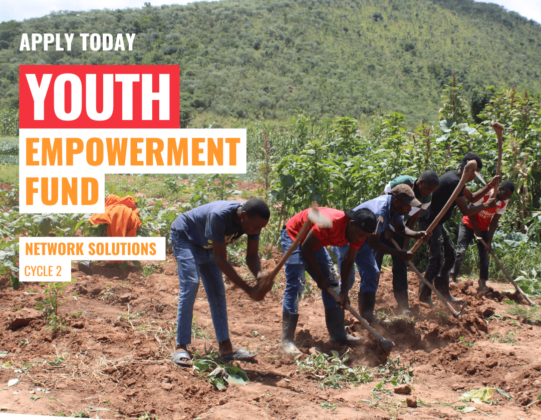 Led SDG Projects (Apply by March 31)