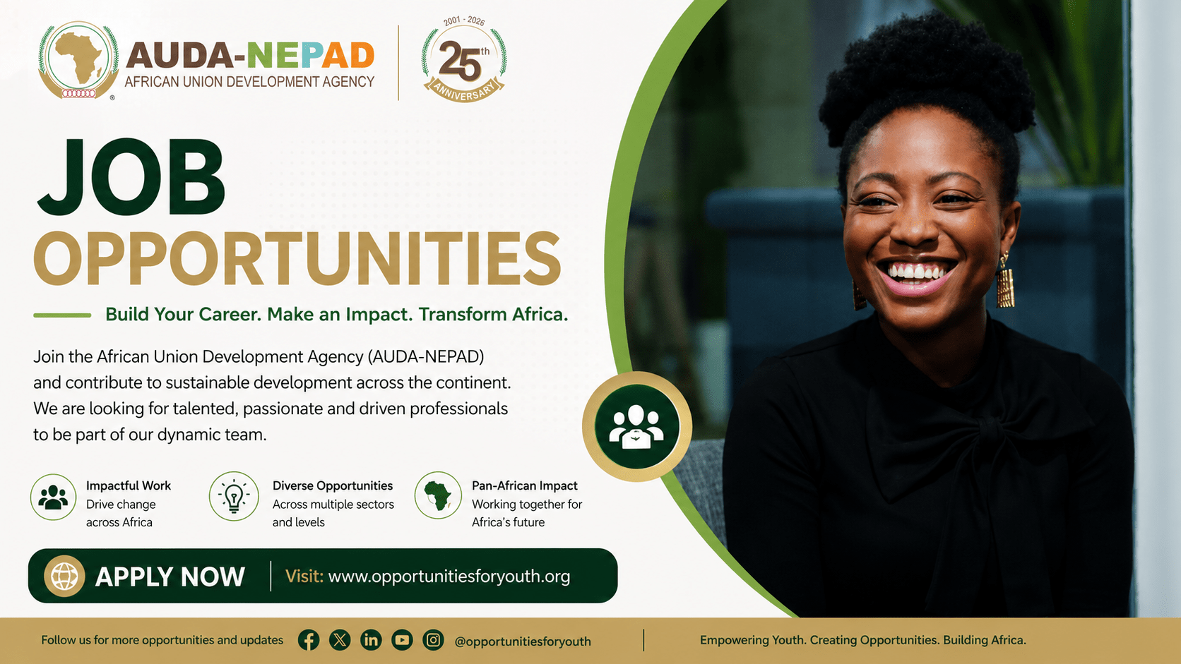 African Union Development Agency (AUDA-NEPAD) company logo