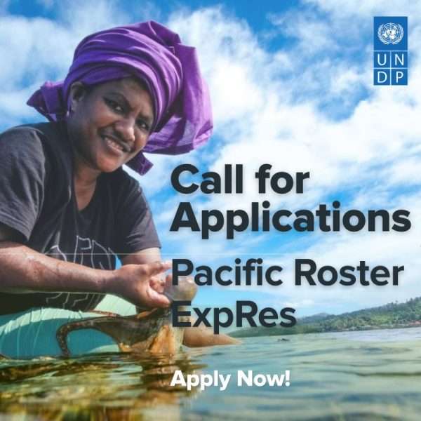 United Nations Development Programme (UNDP) company logo