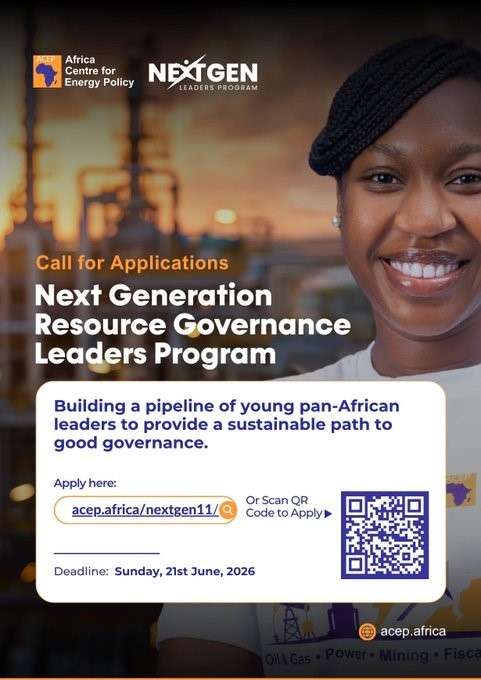 African Internship for Future Leaders in Governance, Energy, and Sustainable Development company logo