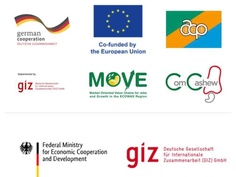 MOVE Free Agribusiness e-Learning Courses: Build Skills in Cashew Value Chains and Entrepreneurship