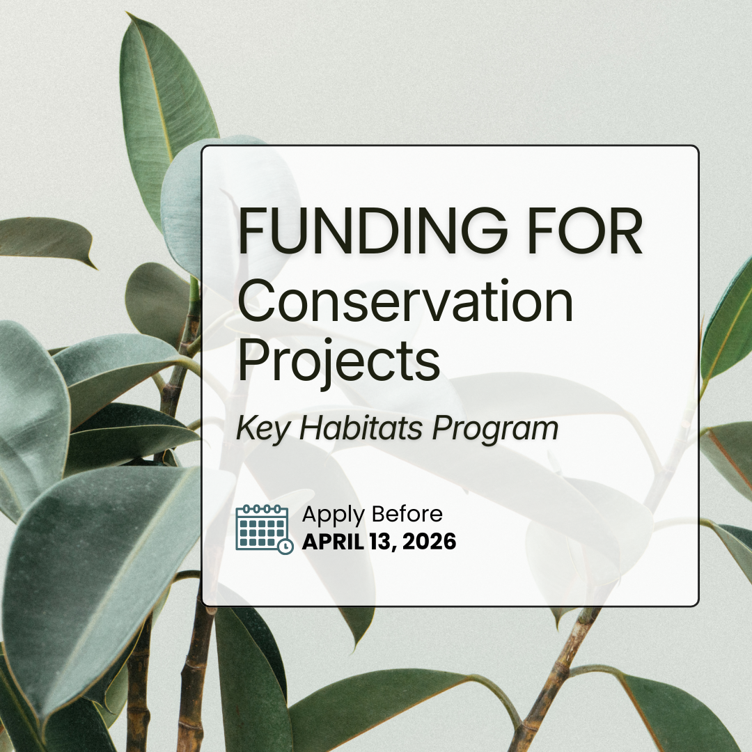 Funding &amp; Support for Conservation and Community Initiatives in the Caribbean