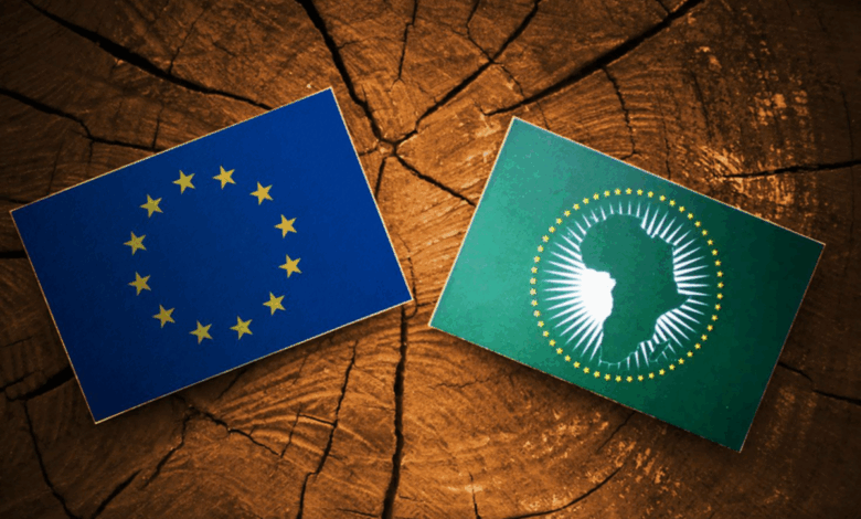 the African Union (Funded Opportunity for Young Graduates)