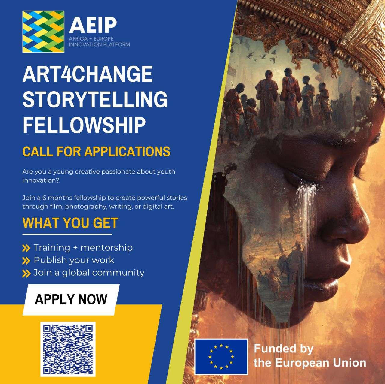 Africa-Europe Innovation Platform