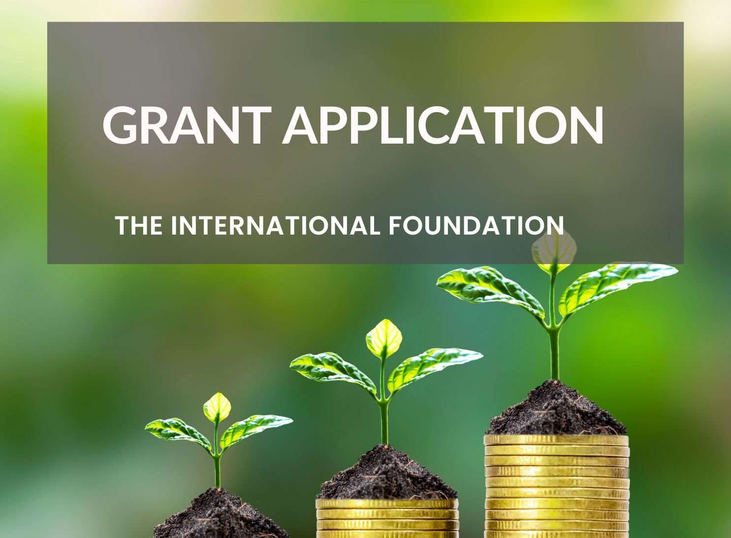 International Foundation
