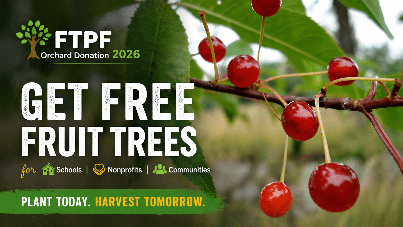 Fruit Tree Planting Foundation