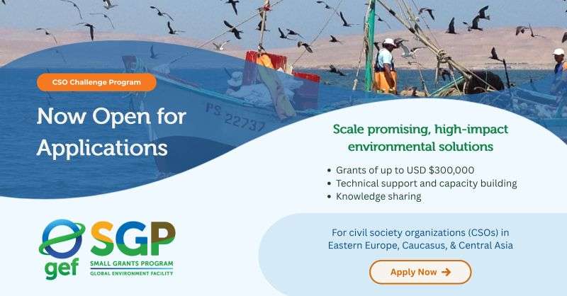 Impact Environmental Solutions