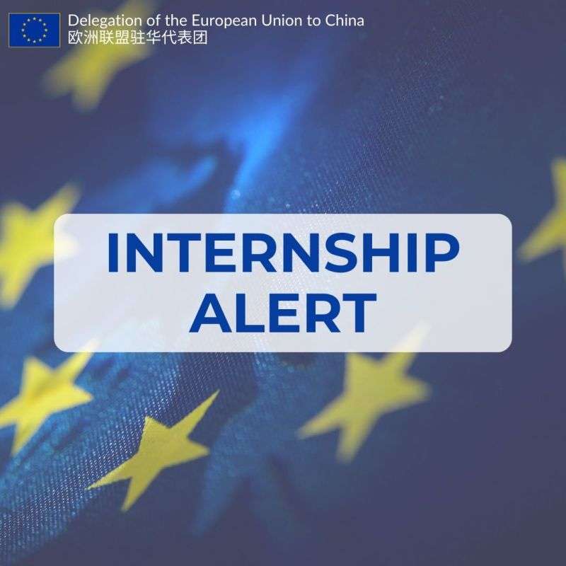 EU Delegation to China