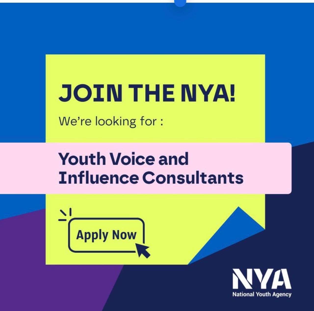 National Youth Agency company logo
