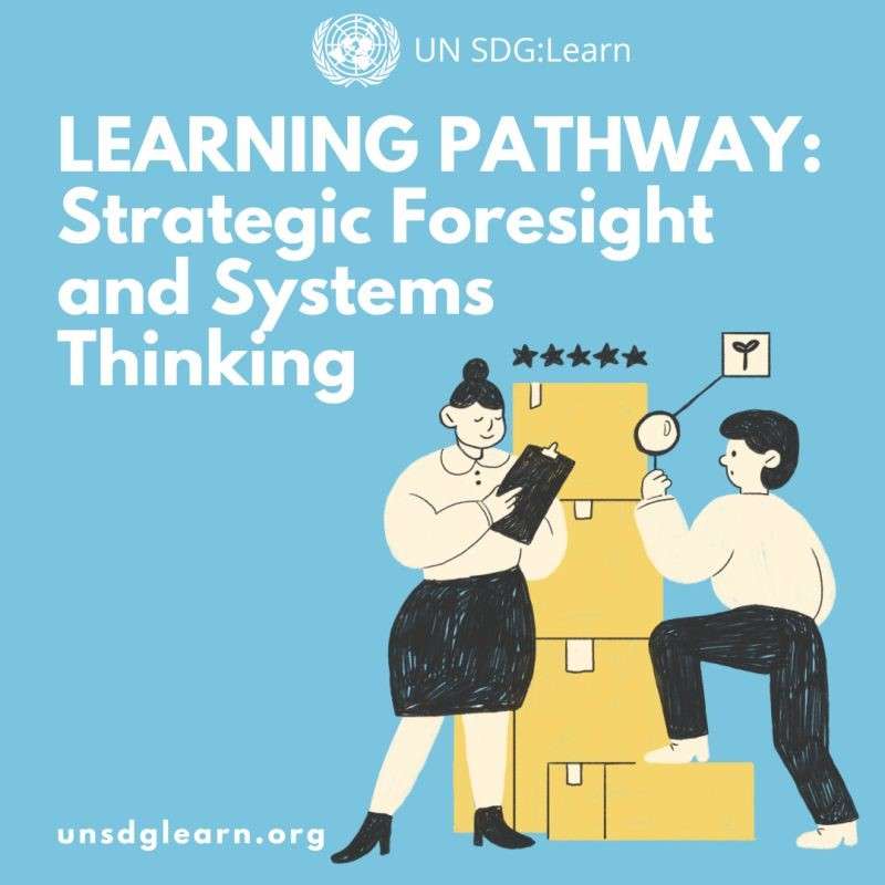 Ready Skills for Sustainable Development and Better Decision-Making