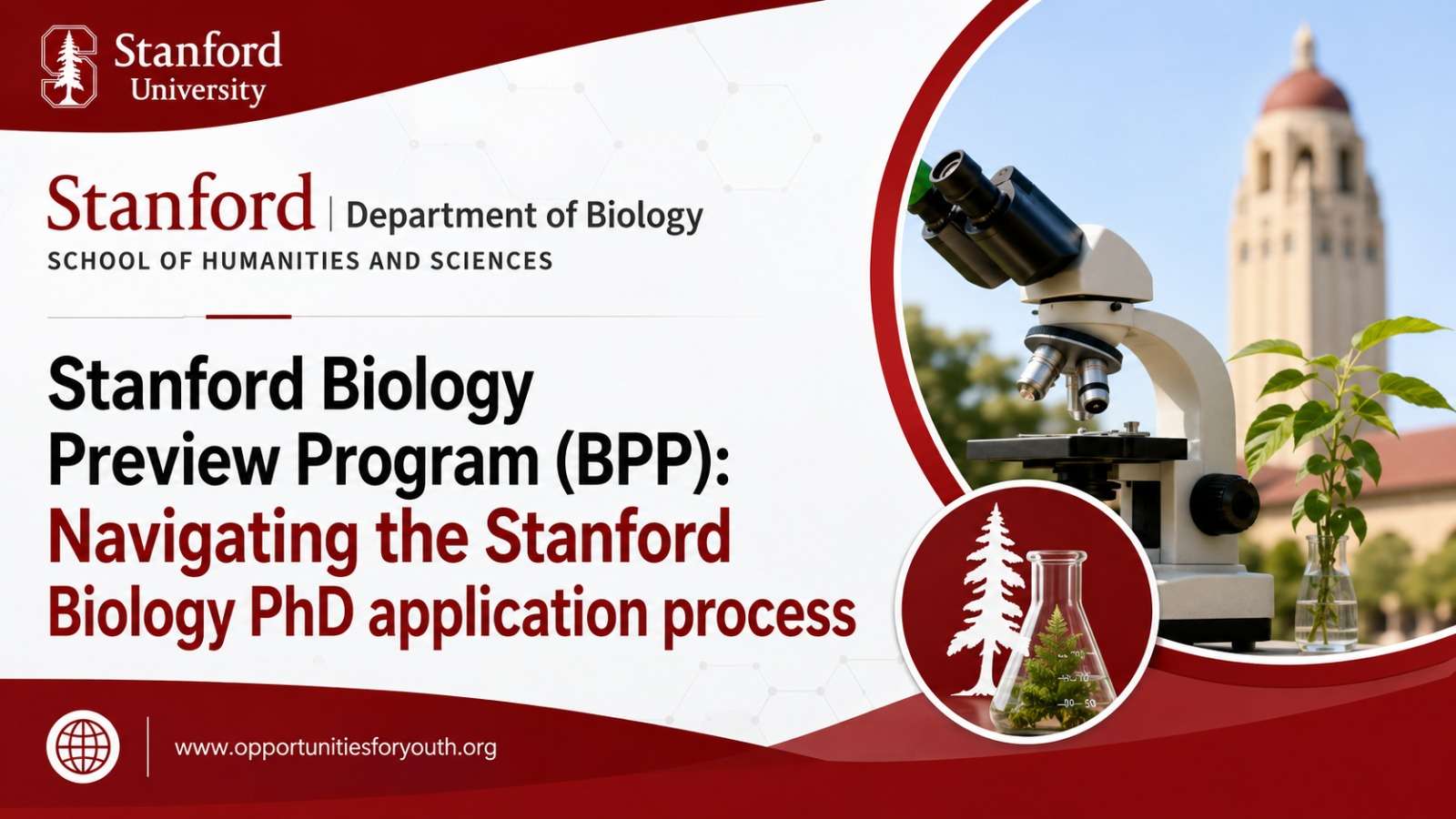 Stanford University company logo