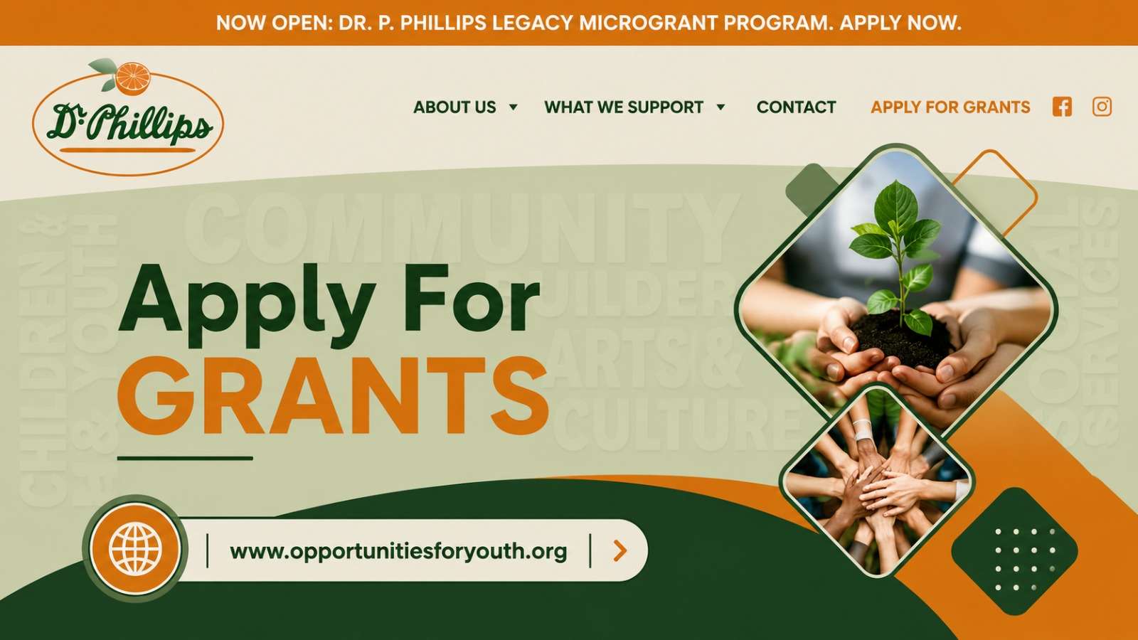 Dr. Phillips Charities company logo